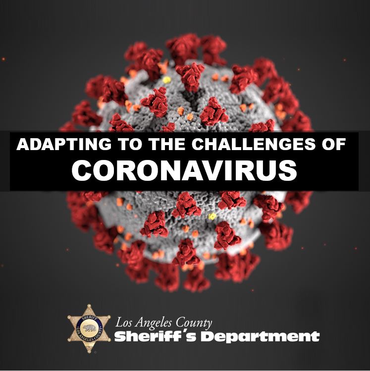 Microscopic image of the coronavirus.