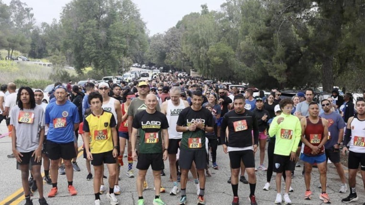 hundreds of people are standing at a starting line, the paved course is lined by large tall trees, all the people are dressed in running shirts, shorts and shoes.